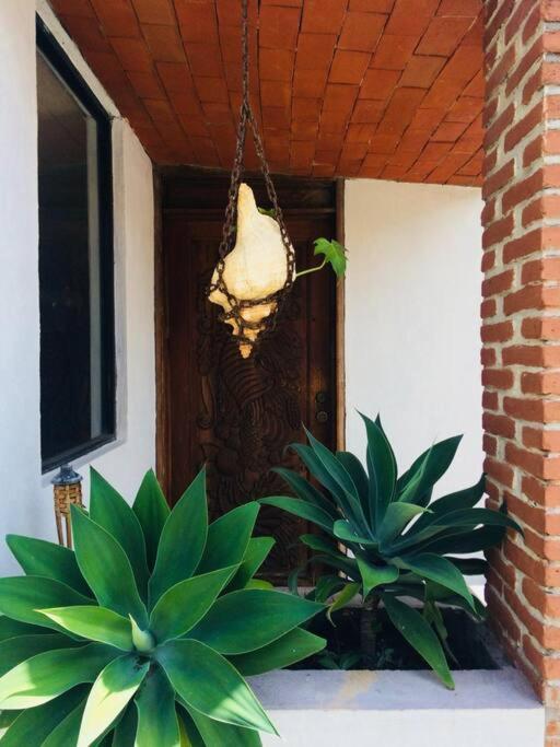 Finca Taino. Hermosa Casa Con Alberca Jiutepec Extérieur photo